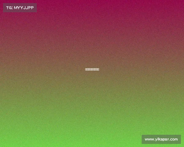 赛事裁判都来自哪里